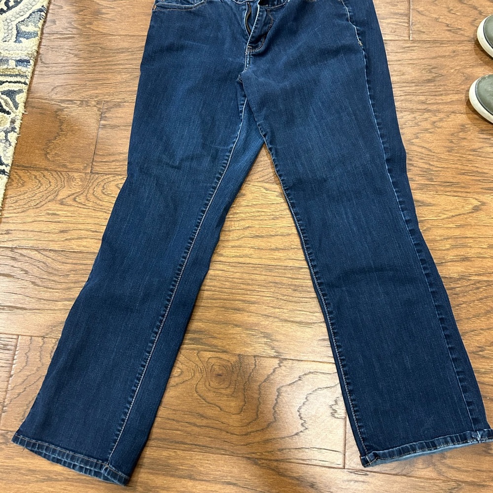 LANE BRYANT Classic Blue Women's Jeans